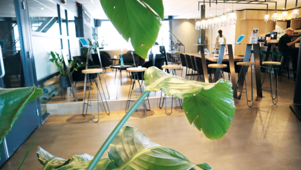 lounge met planten mylife tilburg