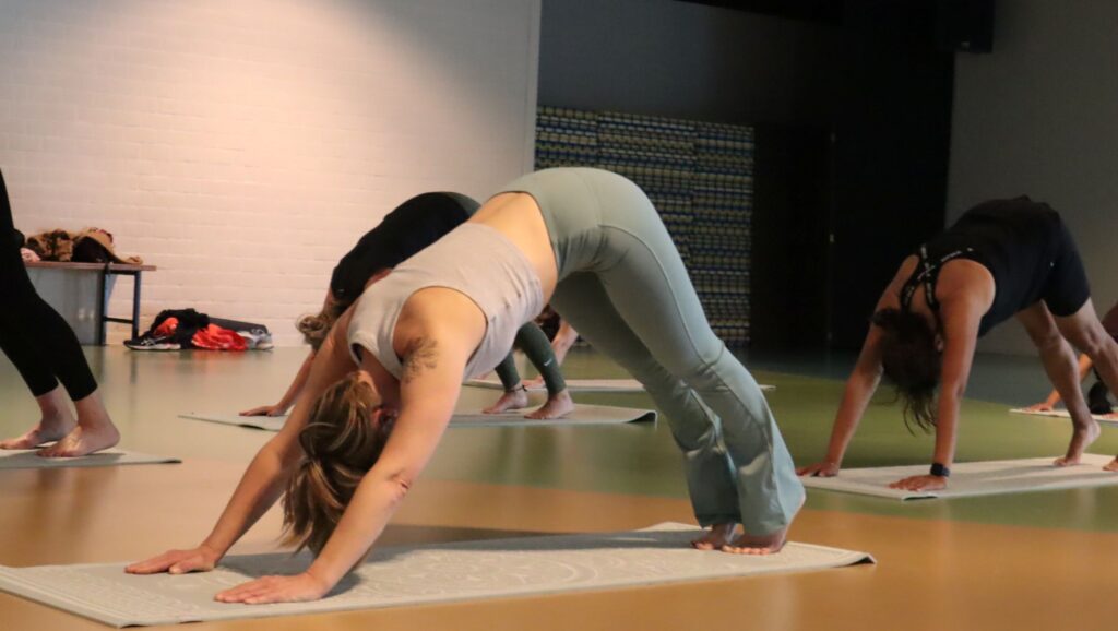 dames in yoga pose